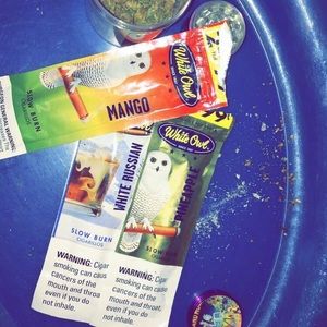 Meet your Posher, Timothy